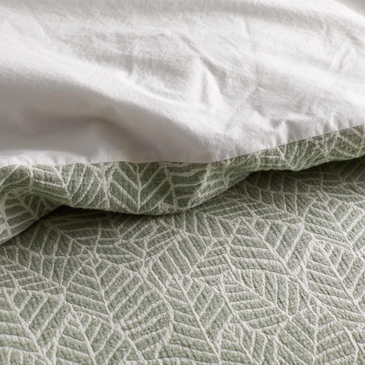 Company Cotton™ Leaves Organic Sham - Image 3